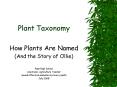 Plant Taxonomy