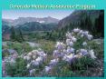 Colorado Medical Assistance Program