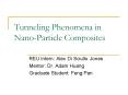 Tunneling Phenomena in NanoParticle Composites
