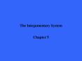 The Integumentary System