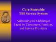 Core Statewide TBI Service System  Addressing the Challenges Faced by Consumers, Families, and Service Providers