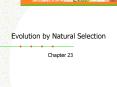 Evolution by Natural Selection
