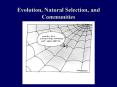 Evolution, Natural Selection, and Communities