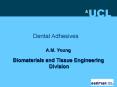 Dental Adhesives