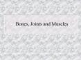Bones, Joints and Muscles
