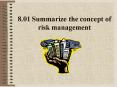 8.01 Summarize the concept of risk management
