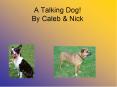 A Talking Dog By Caleb