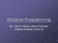 eXtreme Programming