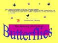 The Amazing Life Cycle of