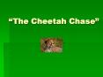 The Cheetah Chase