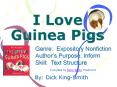 I Love Guinea Pigs