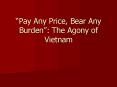 Pay Any Price, Bear Any Burden: The Agony of Vietnam