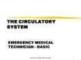 THE CIRCULATORY SYSTEM