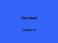 The Heart