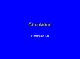 Circulation
