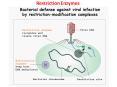 Restriction Enzymes