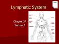 Lymphatic System