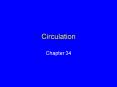 Circulation