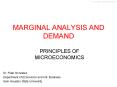 MARGINAL ANALYSIS AND DEMAND