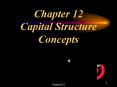 Chapter 12 Capital Structure Concepts