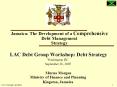 Jamaica: The Development of a Comprehensive Debt Management Strategy