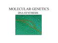 MOLECULAR GENETICS