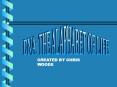 DNA: THE ALAPHABET OF LIFE