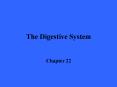 The Digestive System