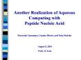 Another Realization of Aqueous Computing with Peptide Nucleic Acid