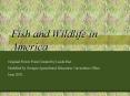 Fish and Wildlife in America
