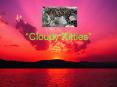 Cloudy Kitties