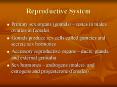 Reproductive System