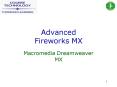 Advanced Fireworks MX