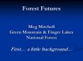 Forest Futures  Meg Mitchell Green Mountain