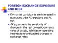 FOREIGN EXCHANGE EXPOSURE AND RISK