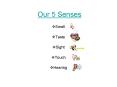 Our 5 Senses