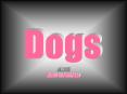 Dogs