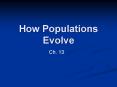 How Populations Evolve