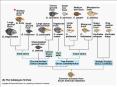 How Populations Evolve