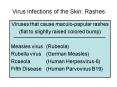 Virus Infections of the Skin: Rashes