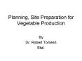 Planning, Site Preparation for Vegetable Production