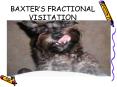 BAXTERS FRACTIONAL VISITATION