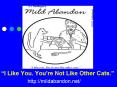 I Like You. Youre Not Like Other Cats.