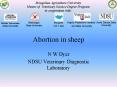 Abortion in sheep