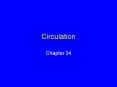 Circulation