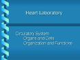 Heart Laboratory