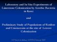 Laboratory and In Situ Experiments of Limestone Colonization by Aerobic Bacteria in Karst and Prelim