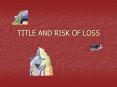 TITLE AND RISK OF LOSS