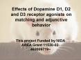 Effects of Dopamine D1, D2 and D3 receptor agonists on matching and adjunctive behavior