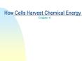 How Cells Harvest Chemical Energy